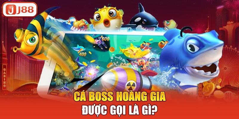 Cá boss hoàng gia được gọi là gì?