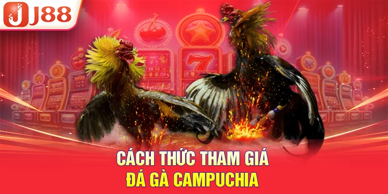 Cách thức tham giá đá gà campuchia