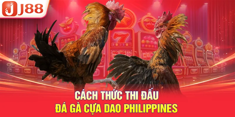 Cách thức thi đấu đá gà cựa dao Philippines