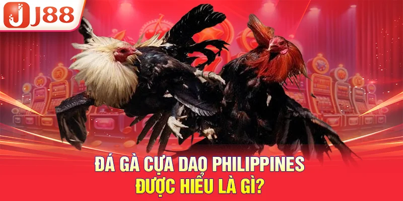 Đá Gà Cựa Dao Philippines Được Hiểu Là Gì?