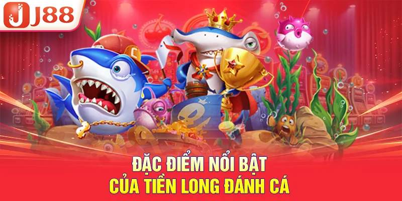 Đặc điểm nổi bật của tiền long đánh cá