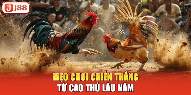 Mẹo chơi chiến thắng từ cao thủ lâu năm