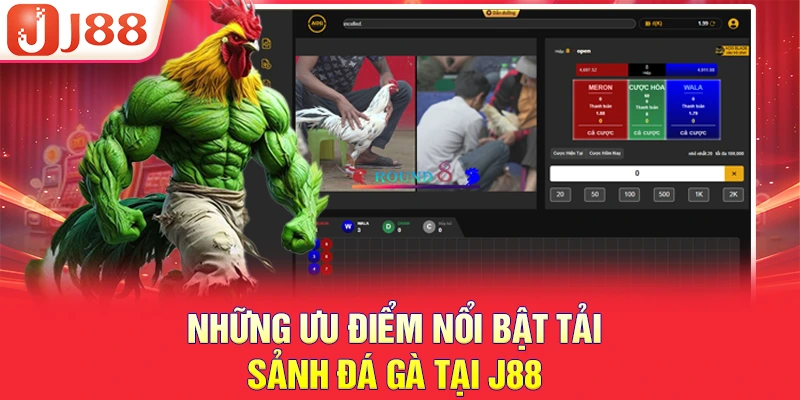 ĐÁ GÀ J88 2 Những ưu điểm nổi bật tải sảnh đá gà tại J88