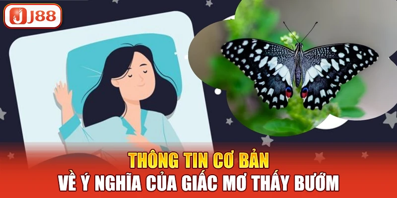 Thông tin cơ bản về ý nghĩa của giấc mơ thấy bướm