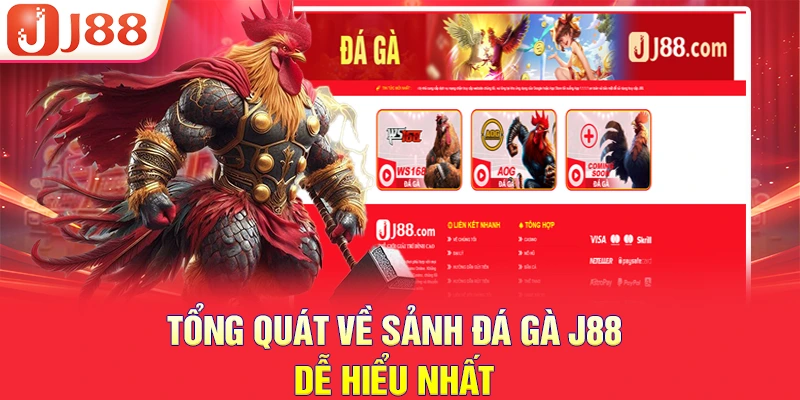 ĐÁ GÀ J88 1 Tổng quát về sảnh đá gà J88 dễ hiểu nhất