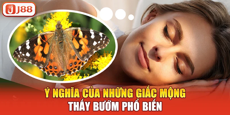 Ý nghĩa của những giấc mộng thấy bướm phổ biến